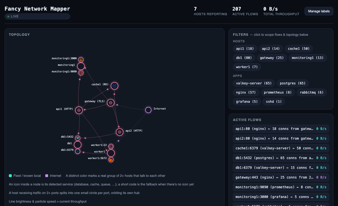 Fancy Network Mapper